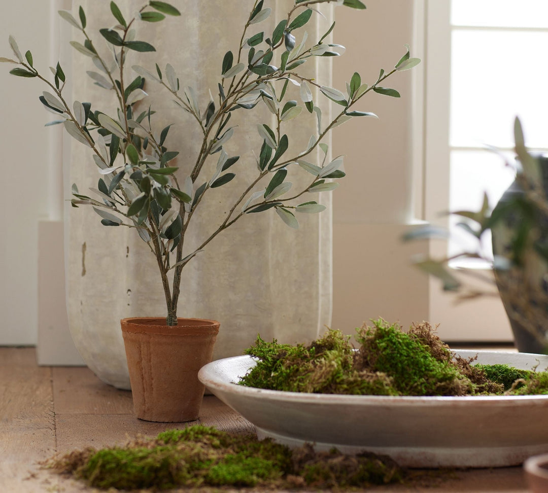 Handcrafted Glazed Terracotta Bowl