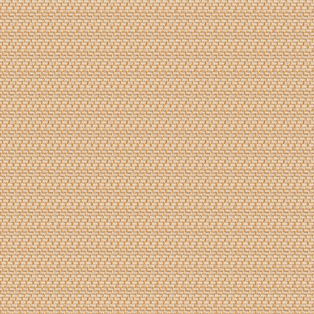 Hold Everything Rattan Cubby Pantry Baskets