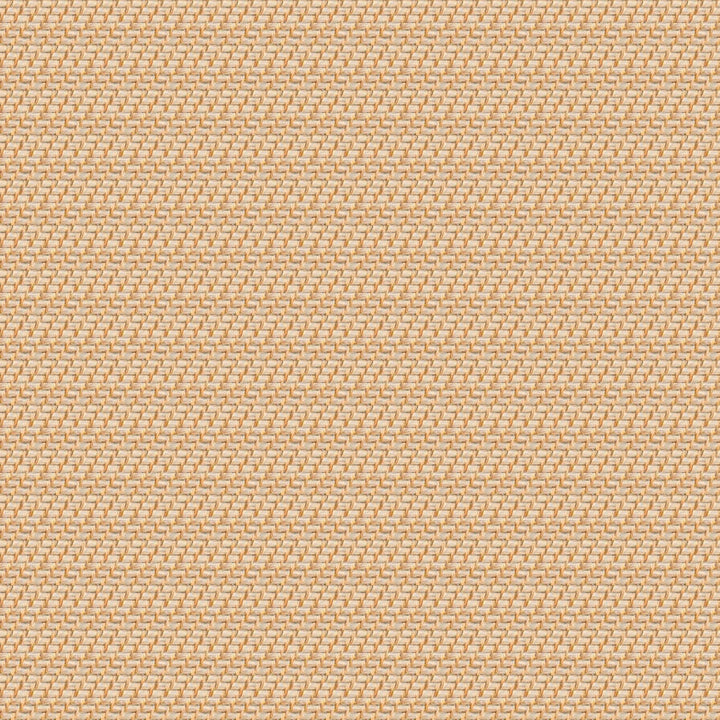 Hold Everything Rattan Cubby Pantry Baskets