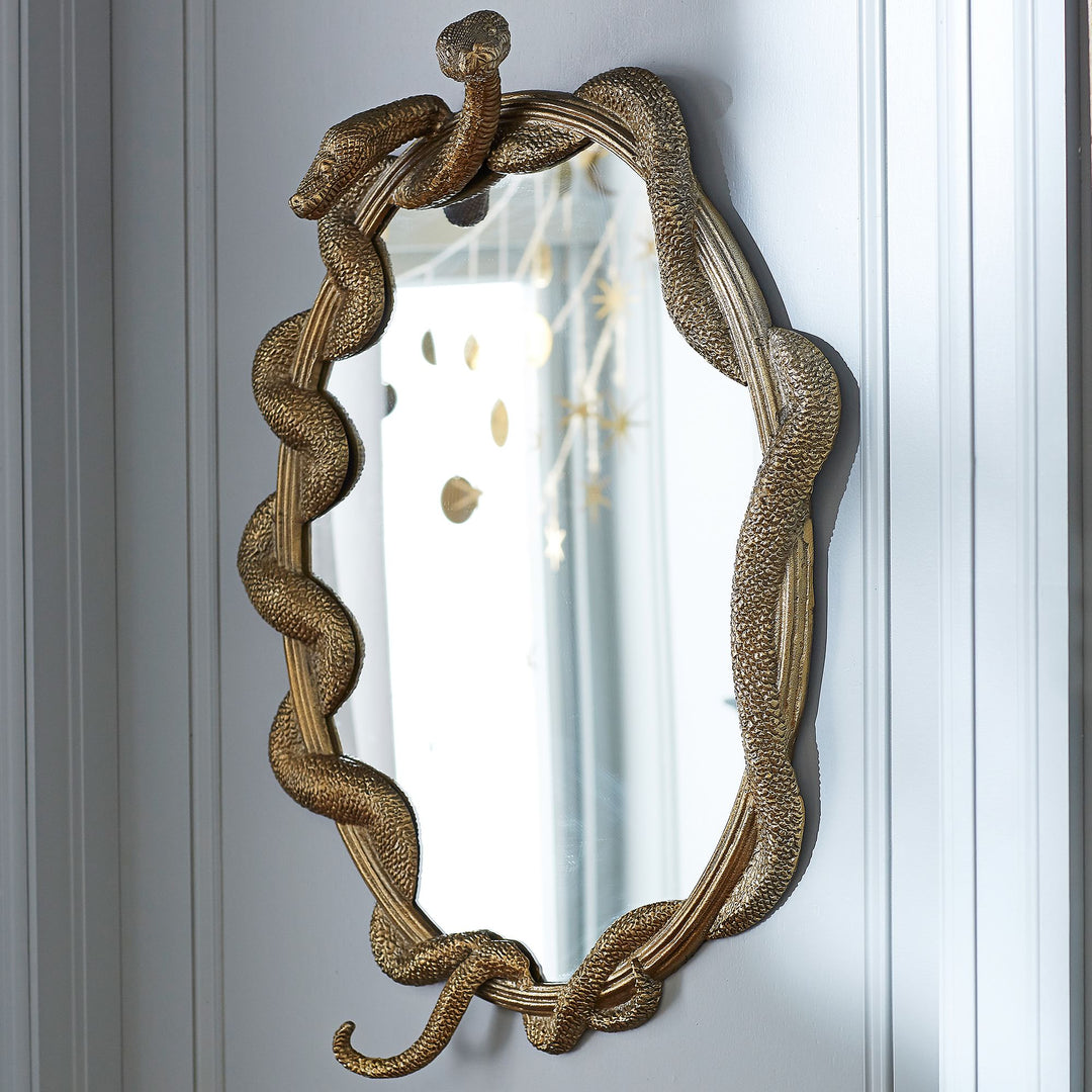 Wizarding World Nagini Mirror