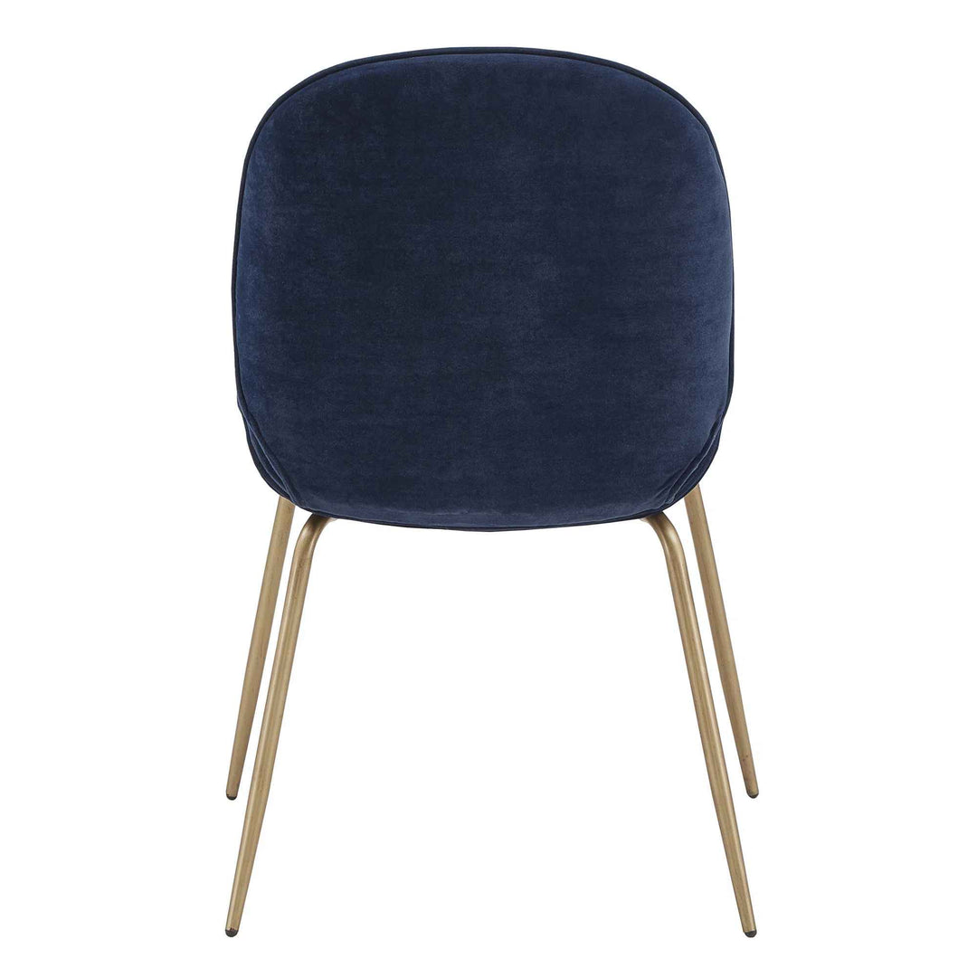 Adalee Velvet Upholstered Side Chair (Set of 2)