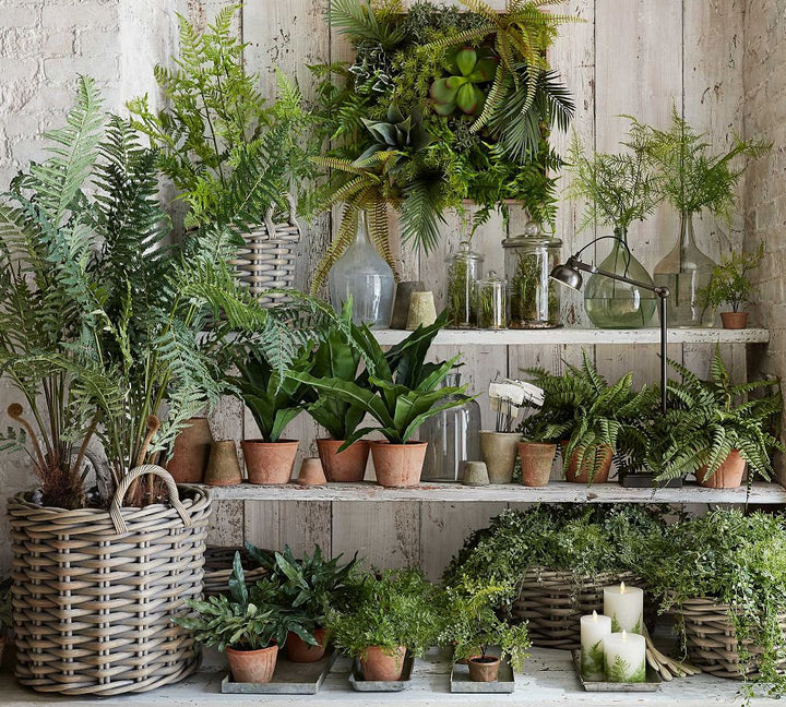 Faux Potted Boston Fern