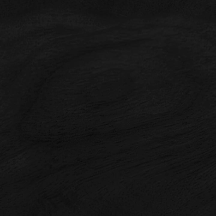 Extra Large Black Wood Kiwi Bird