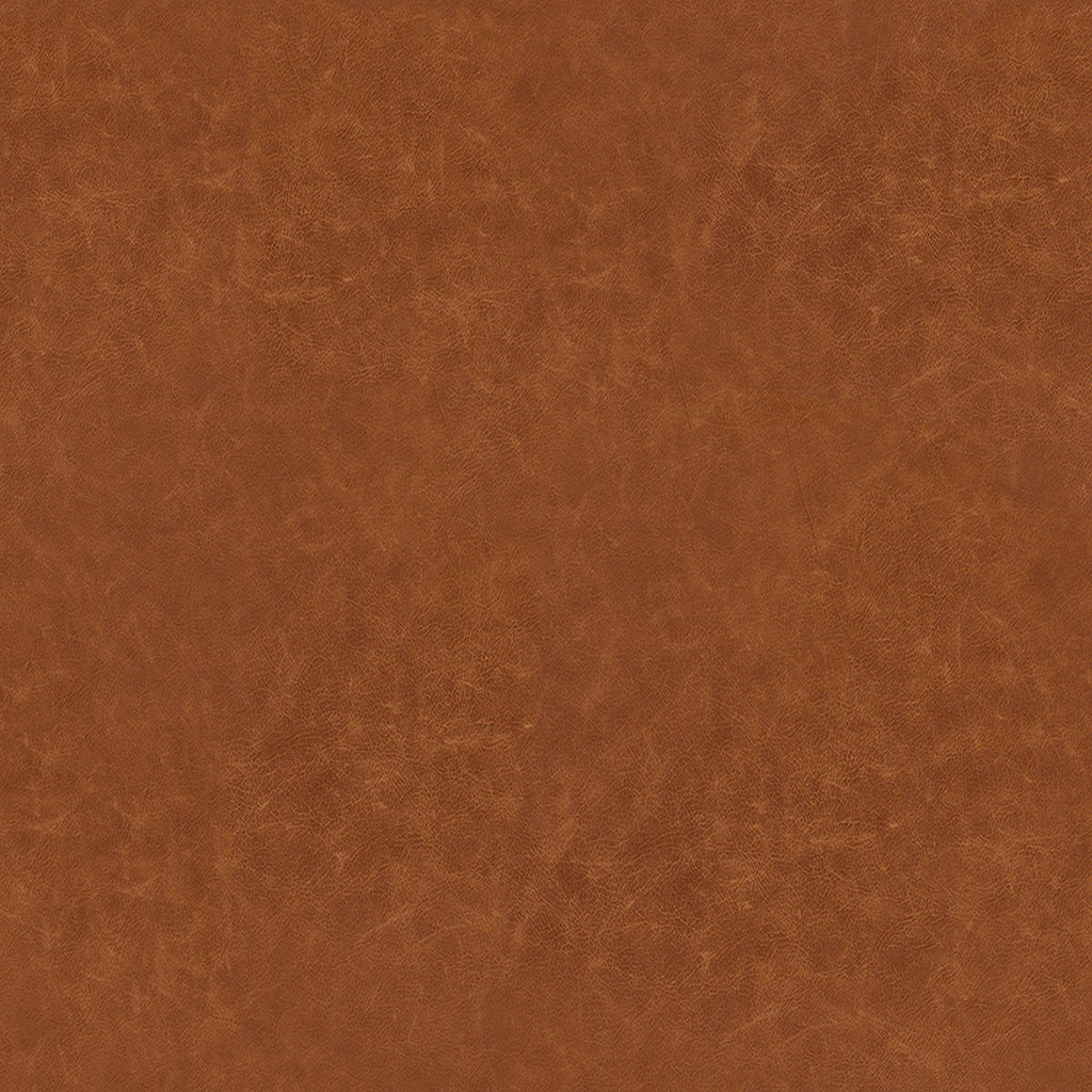 Jonah Leather Chair