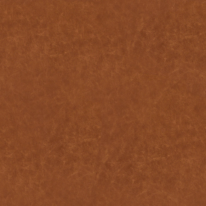 Jonah Leather Chair