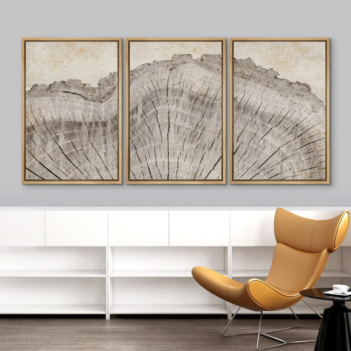Tree Ring Rustic Oak Wood Farmhouse Decor Neutral Modern Organic Framed Canvas 3 Piece Print Art