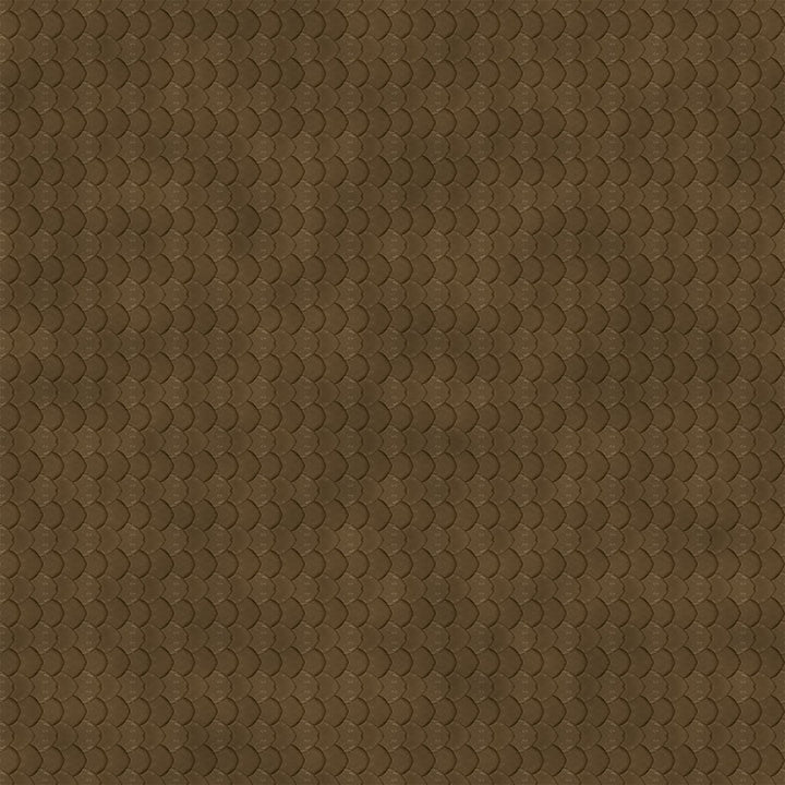 Wizarding World Nagini Mirror