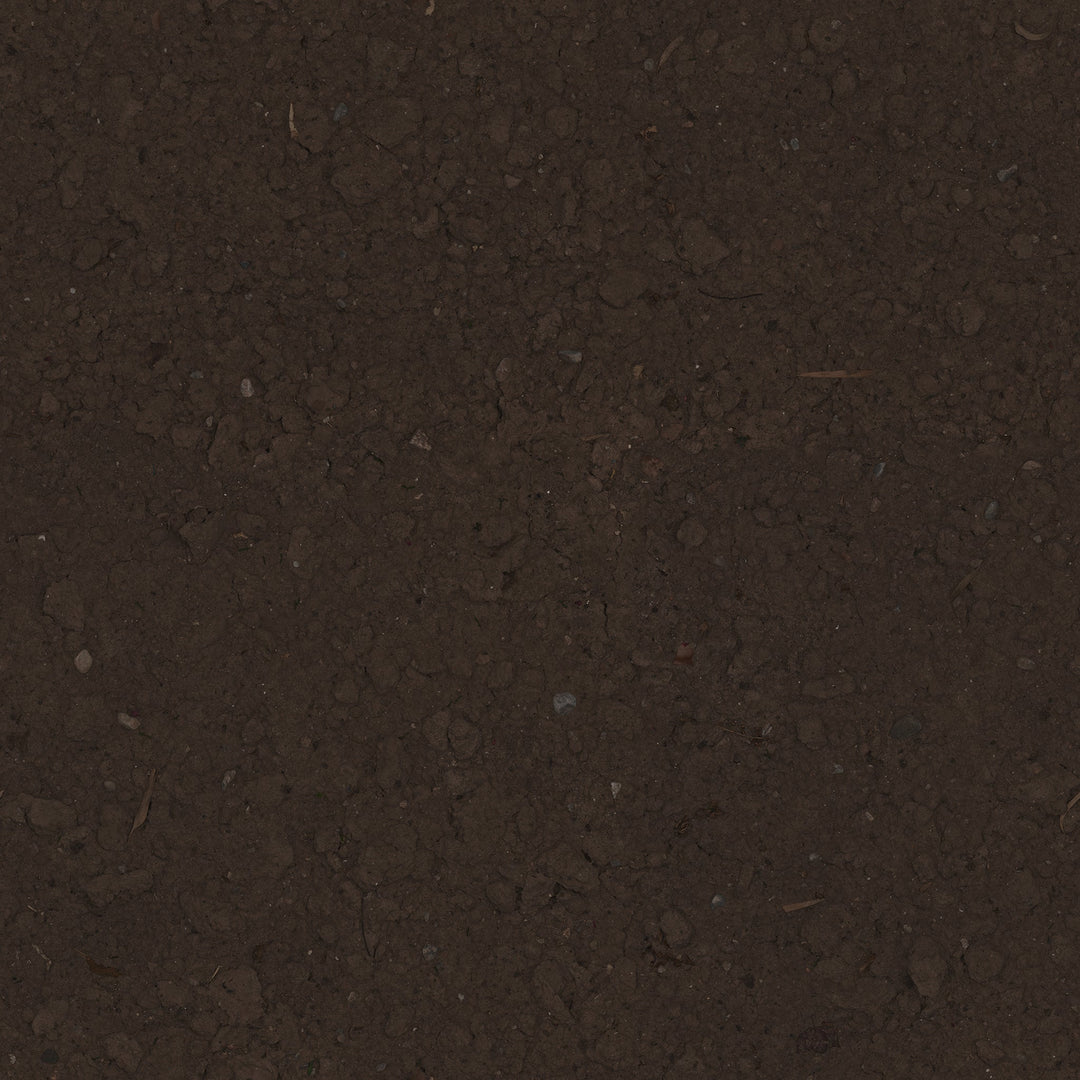 Faux Wandering Prayer Potted Houseplant