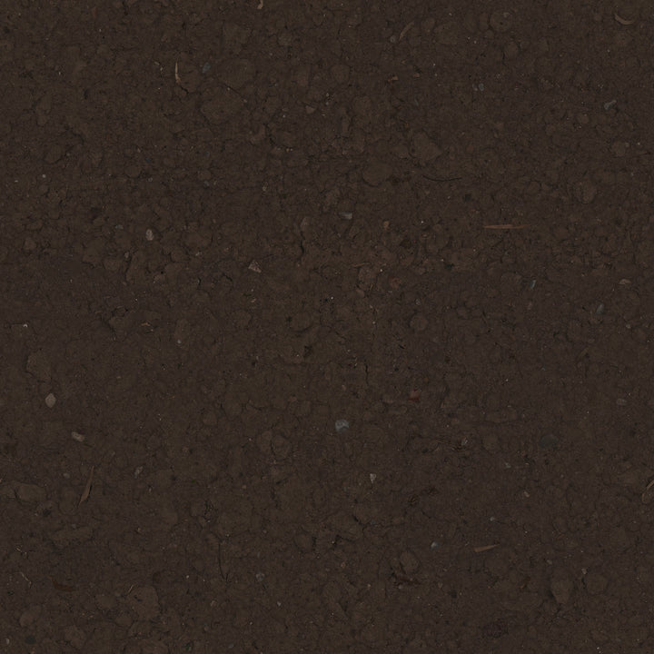 Faux Wandering Prayer Potted Houseplant