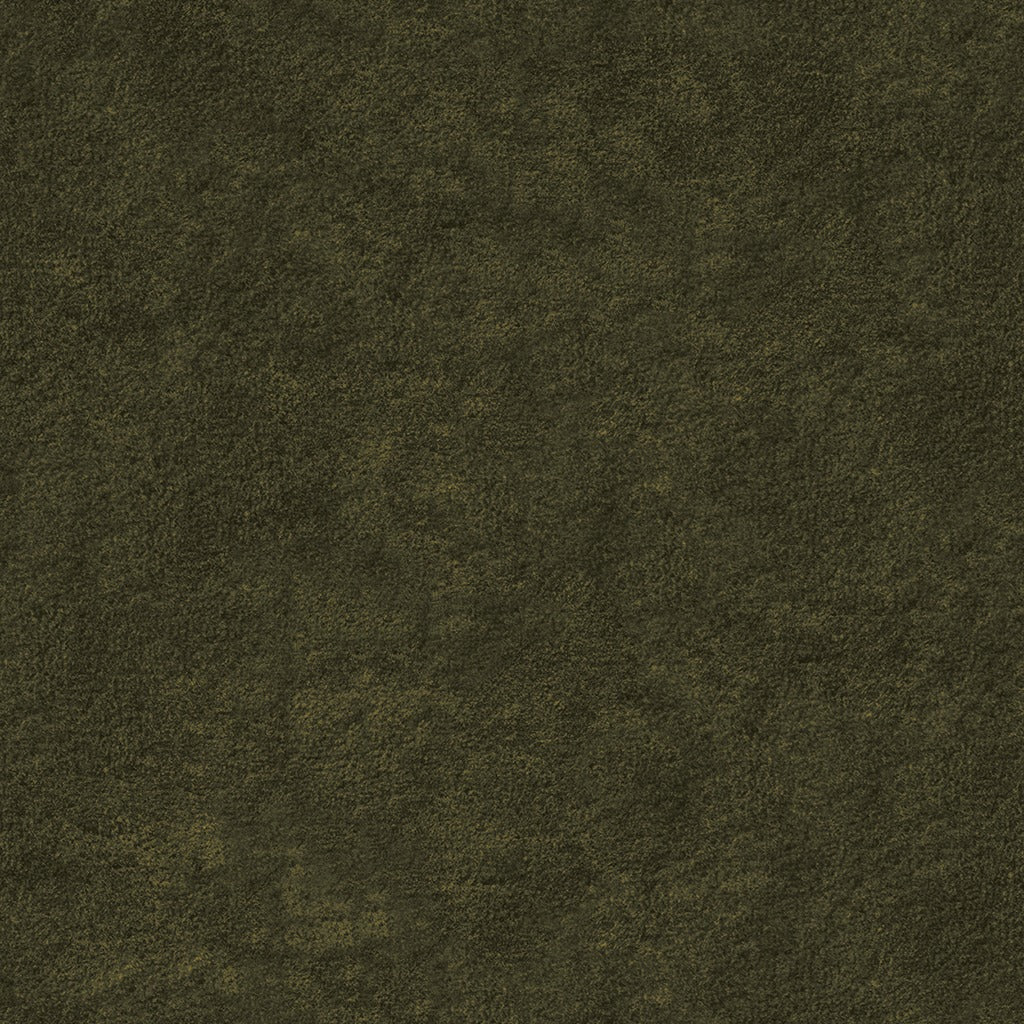 Lucca Juniper Green Pillow Set