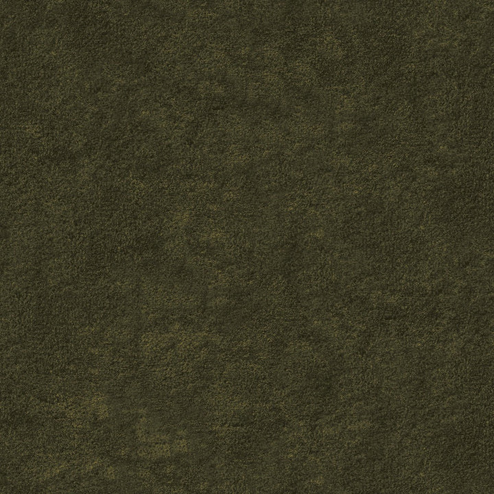 Lucca Juniper Green Pillow Set