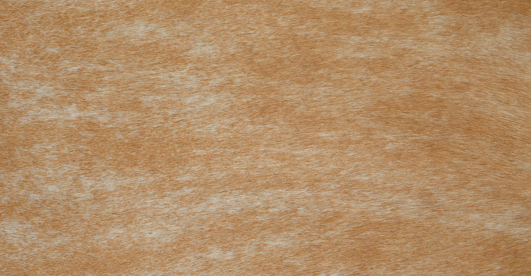 Cossa Cowhide Brown Rug-5'x8'