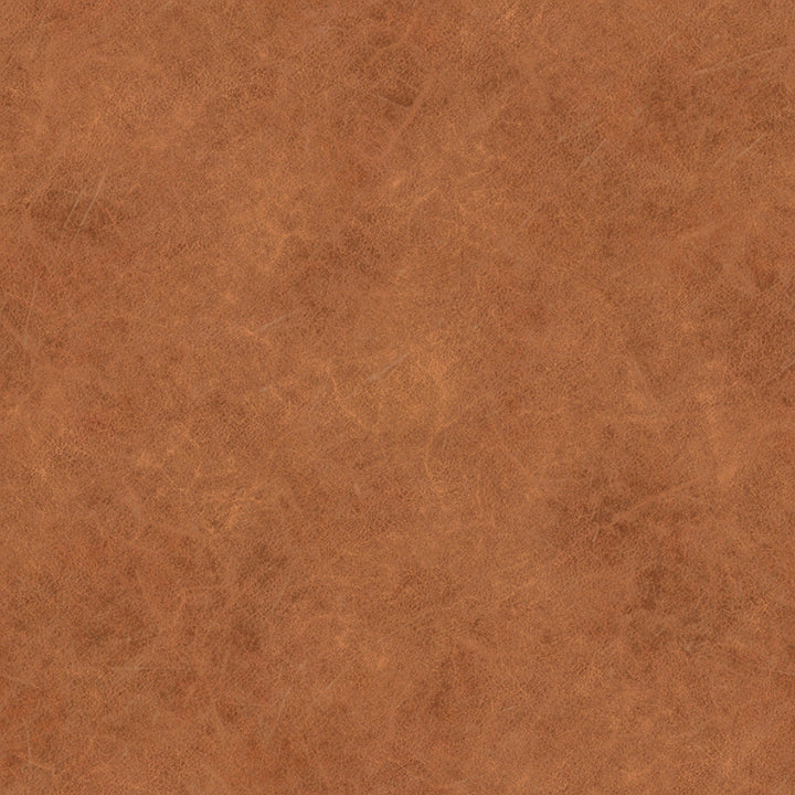 Napa 82 Leather Pull Out Convertible Sleeper Sofa