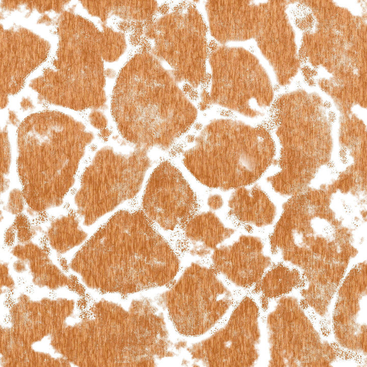 Descanso Brown And White Vase