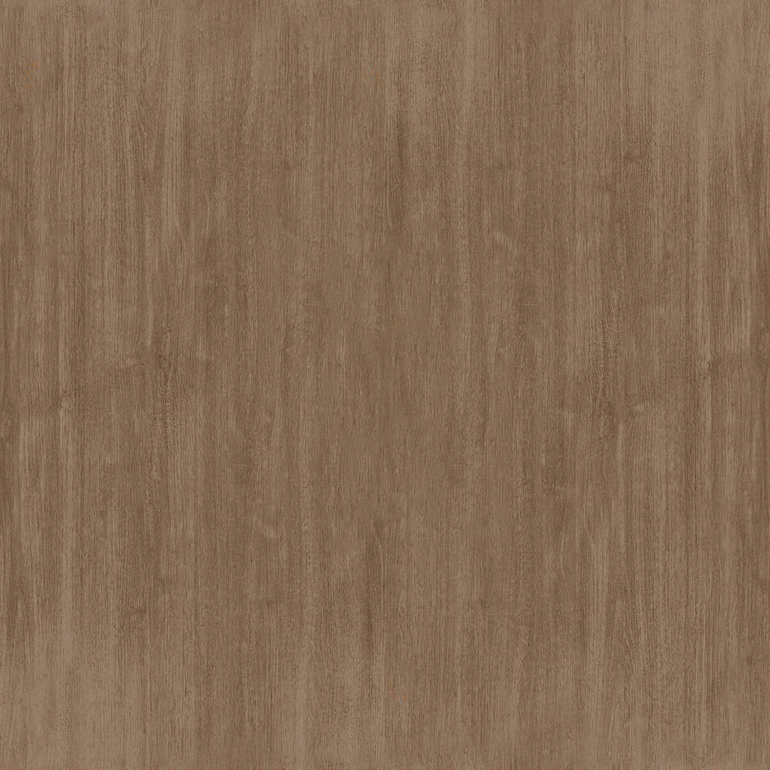 Josu Eucalyptus Outdoor Dining Side Chair