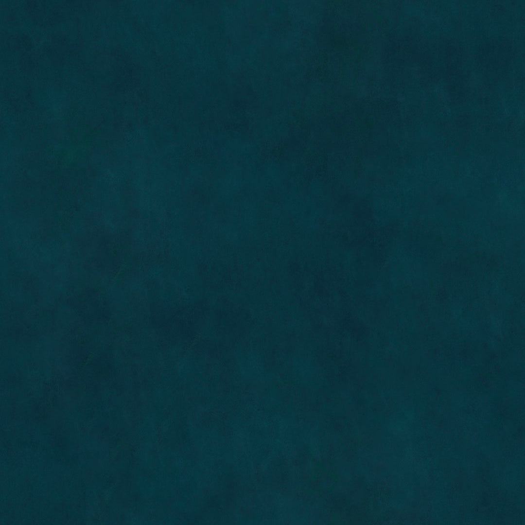 Magallanes Velvet Upholstered Side Chair (Set of 2)