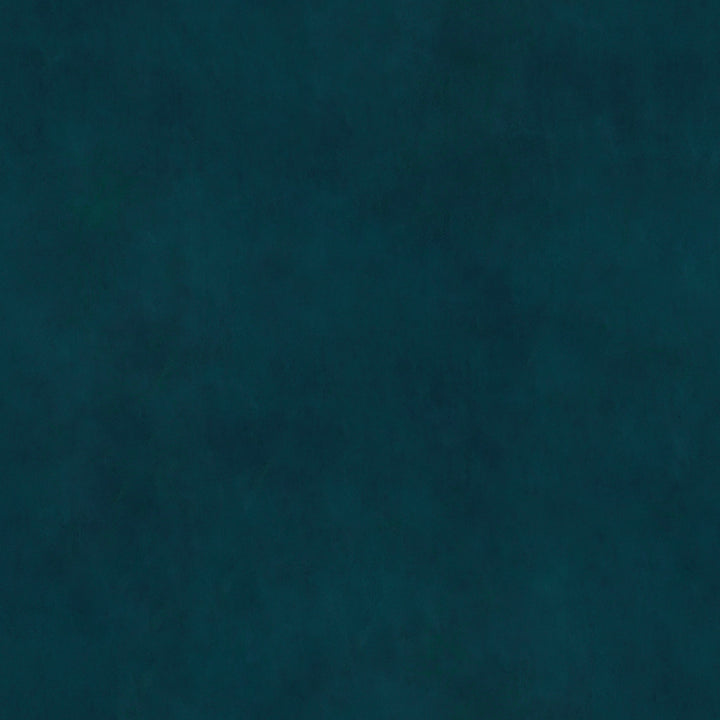 Magallanes Velvet Upholstered Side Chair (Set of 2)