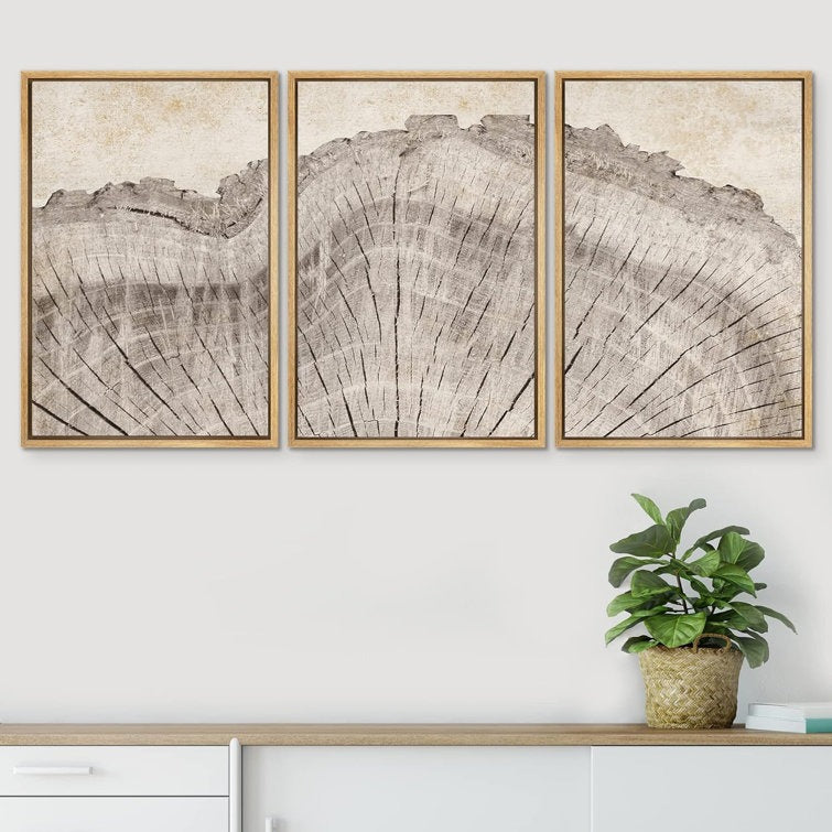 Tree Ring Rustic Oak Wood Farmhouse Decor Neutral Modern Organic Framed Canvas 3 Piece Print Art