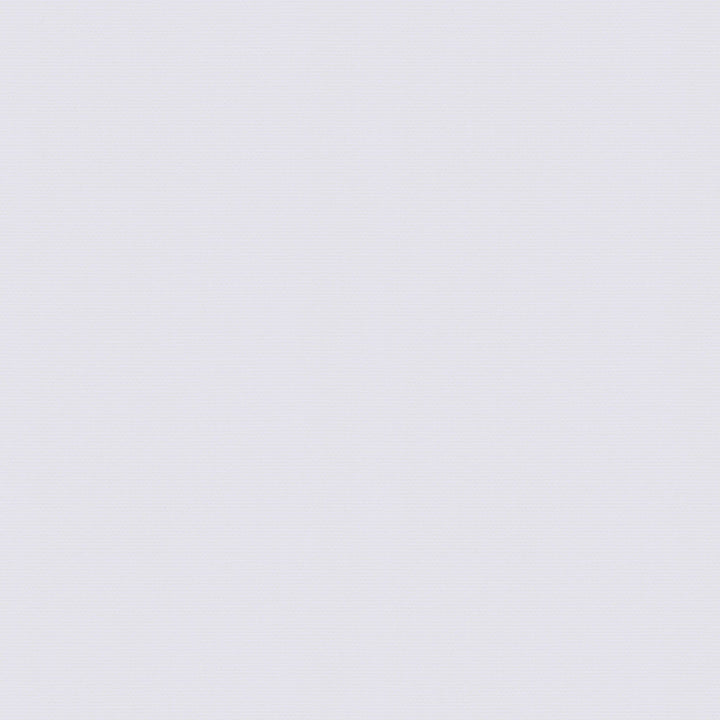 Pro Single Shot Basketball Arcade Game