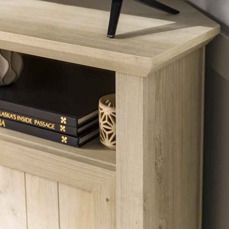 Rahzel 2-Door Corner TV Stand