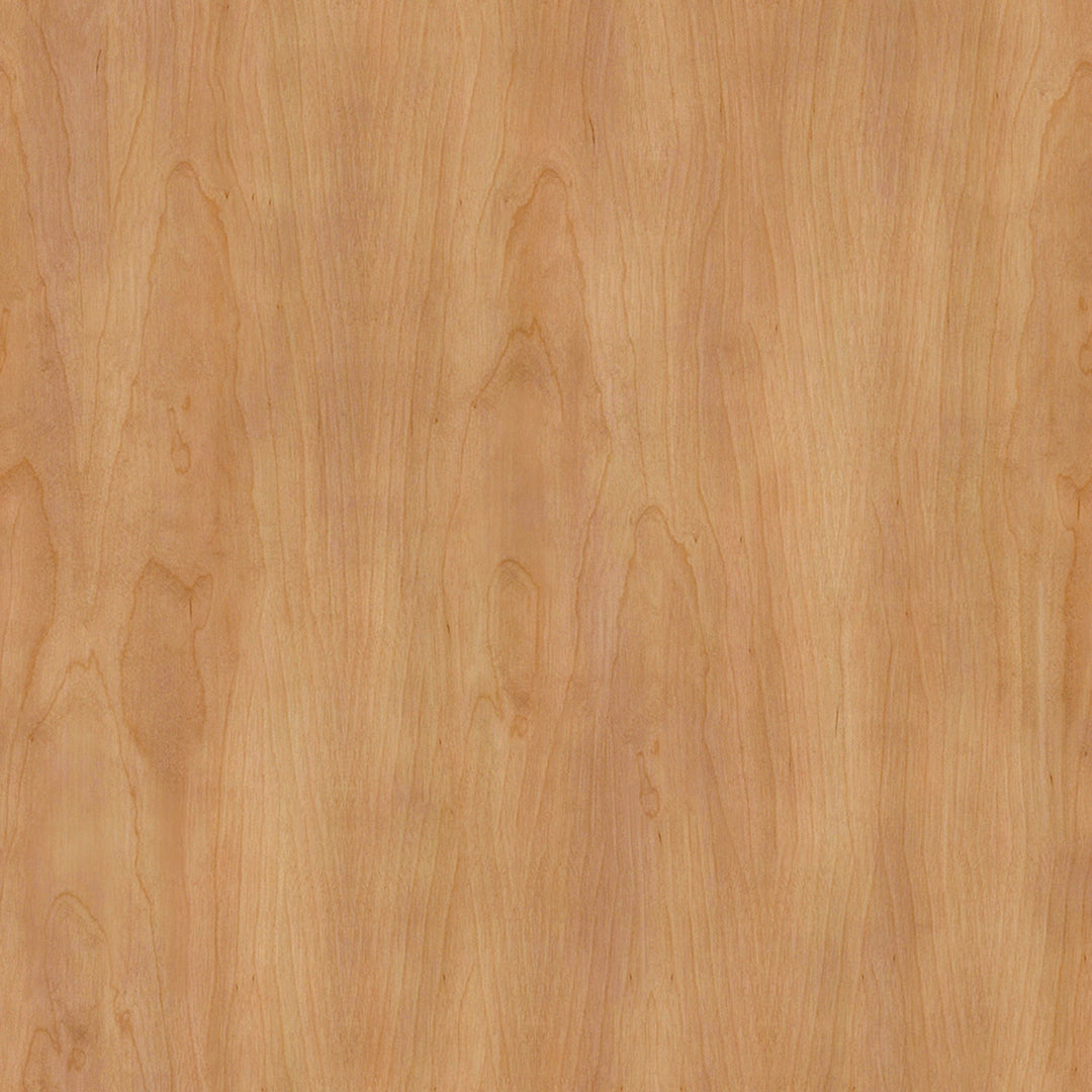 Rifle Paper Target Storage Bench