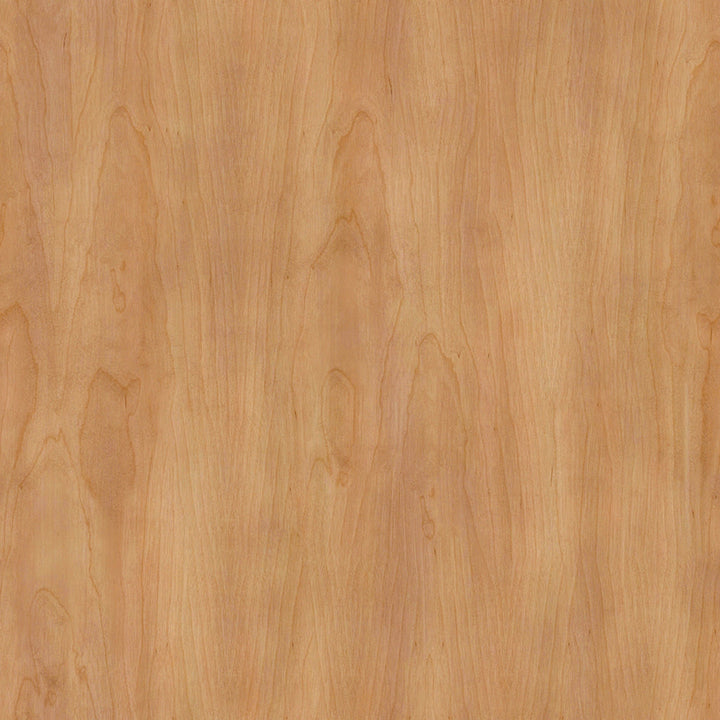 Rifle Paper Target Storage Bench