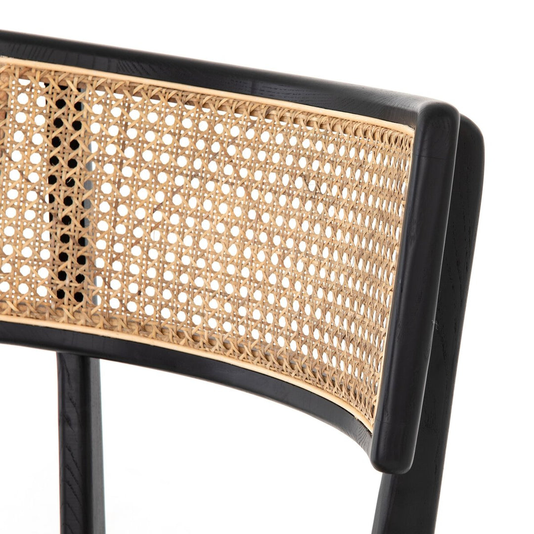 Tani Dining Chair