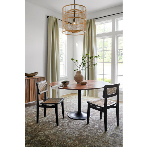 Modern Teak & Rattan Chair
