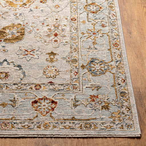 Reina Regal Radiance Machine Woven Rug