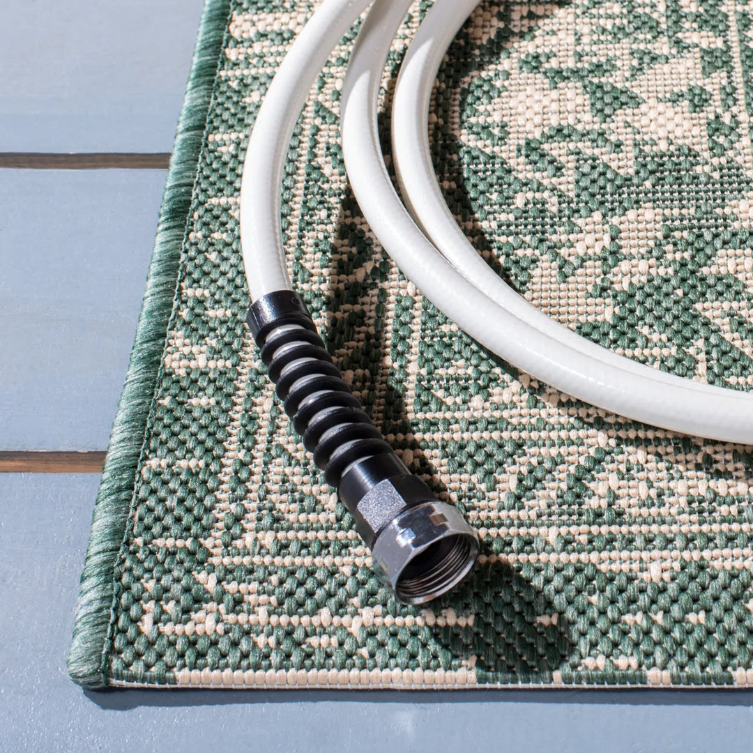 Flynt Oriental Beige/Dark Green Indoor / Outdoor Area Rug