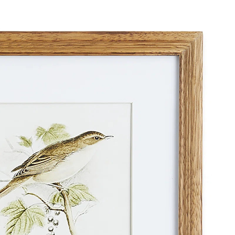 Napa Home and Garden Perching Bird Set