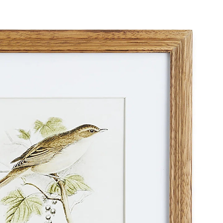 Napa Home and Garden Perching Bird Set