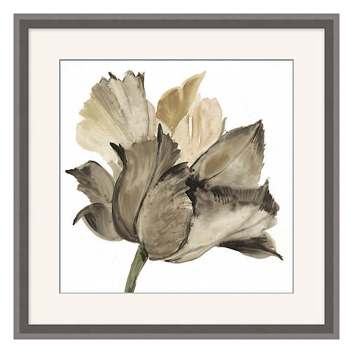 Shadow Floret Art Framed 22"x22"
