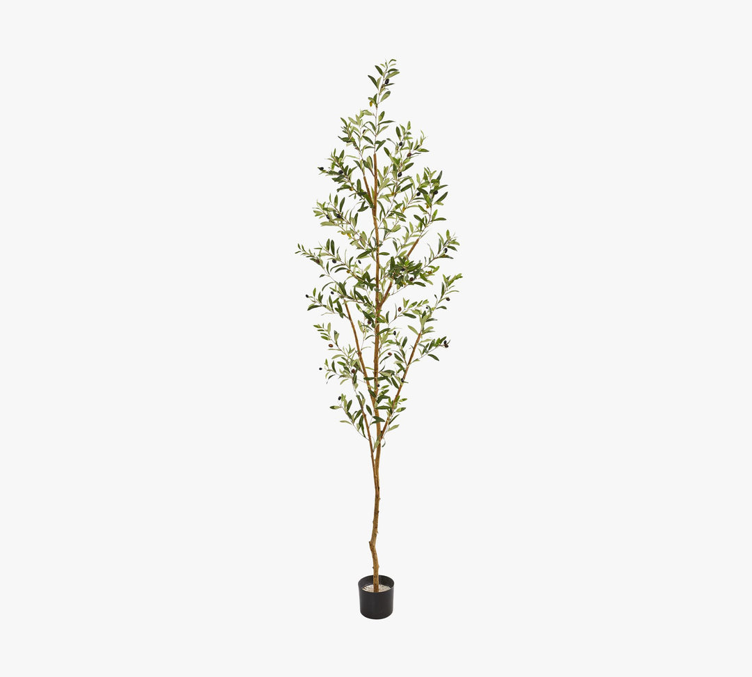 Faux Olive Trees