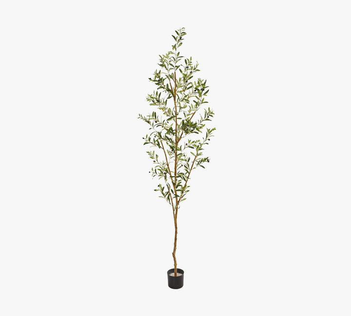 Faux Olive Trees