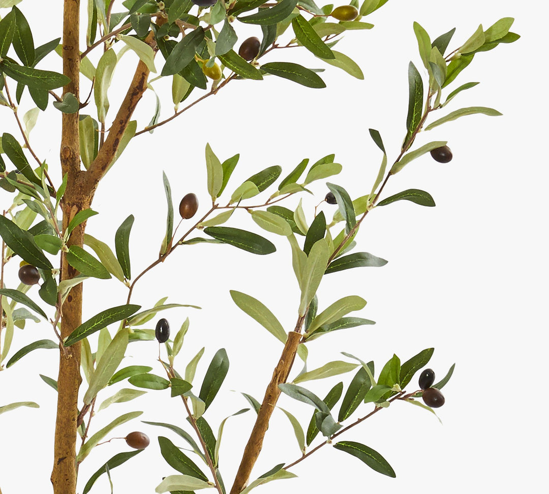 Faux Olive Trees