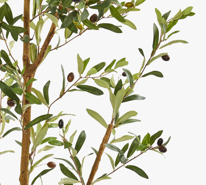 Faux Olive Trees