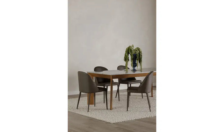 Carter Dining Chair - set of two